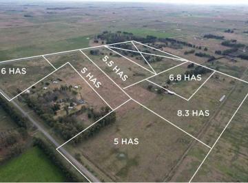 Terreno · 50000m² · Venta de Chacras en Brandsen con Financiacion