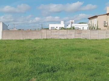 Terreno · 291m² · Terreno en Calle Natalio Perillo 977