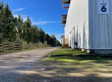 Depósito · 5m² · Venta Cama Nautica 18 Pies en Tigre