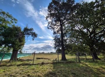 Terreno · 1095m² · Venta Terreno 1000 m Gral Rodriguez Escritura