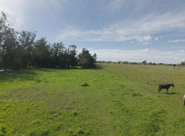 Terreno · 10000m² · Venta Lote - Quinta 10.000 m² (54,80 X 182,40)