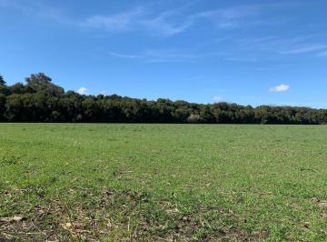 Campo · 32165m² · Campo en Venta - 32.165 m² - Mercedes
