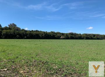 Campo · 32165m² · Campo en Venta - 32.165 m² - Mercedes