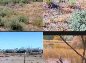 Terreno , Barda del Medio · Vendo 4 Terrenos