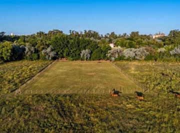 Terreno · 4232m² · Excelente Lote de 4.232 m² en Venta en Freixas, Pilar