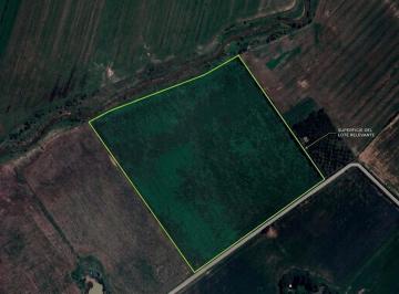 Campo · Campo Agrícola en Pergamino - Excelente Ubicación Sobre Ruta 178