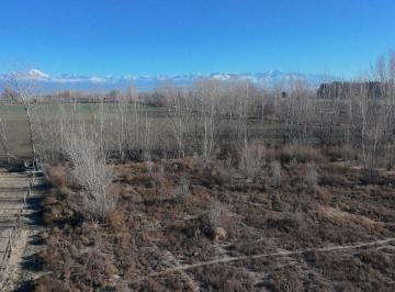 Terreno · 45000m² · Terreno en Venta Exclusivo en Tupungato