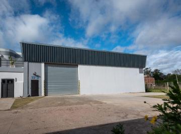 Bodega-Galpón , Ezeiza · Alquiler Canning Ezeiza - Nave 1200 m² con Oficina y Baño en Parque Industrial 2