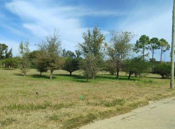 Terreno , Alta Gracia · Tres Lotes en Portales del Tala