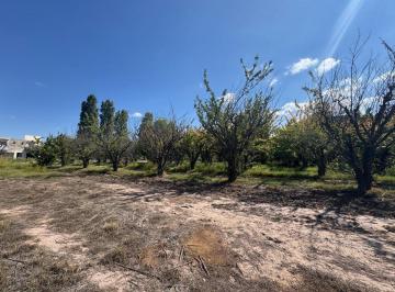 Terreno · 1534m² · Lote en Venta Las Heras Mendoza