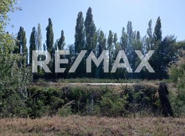 Campo · 6ha · Venta de Chacra en Cipolleti Sobre Ruta 151