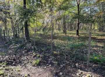 Terreno · 442m² · Lote en PH en Venta en Villa Elisa