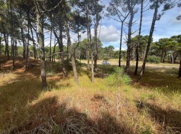 Terreno · 1040m² · Venta de Lote en Pinamar. Barrio Bosques Etapa 1