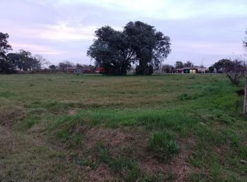 Terreno · 521m² · Venta Terreno en Nuevo Torino