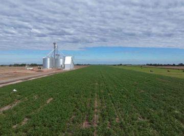 Campo · 6ha · Venta 6 Hectáreas Sobre La Ruta Nacional Nº11