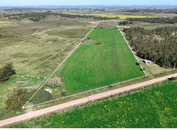 Campo · 55ha · Chacra en Venta - 10,8 Hectáreas - Villa Rosario