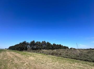 Campo · 18ha · Venta Campo en Ruta 1 Kilometro 16