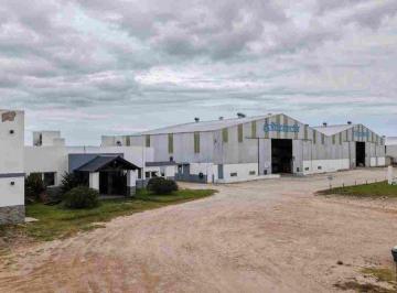 Campo · 2280ha · Naves Industriales en Venta en Necochea Sobre Ruta