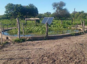 Campo · 980000ha · Campo de 980 Ha en La Gallareta! Ganadero