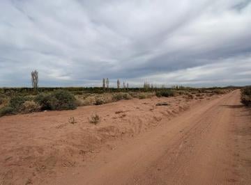 Terreno · 102452m² · 10 Ha en Venta en Plottier