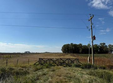 Campo · 140ha · Venta Chacra 14 Ha en del Carril, Saladillo