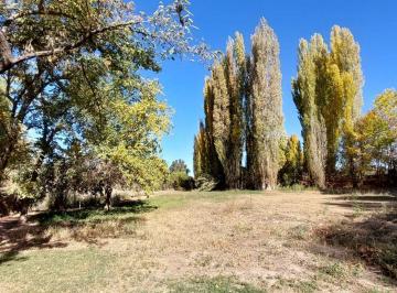 Terreno · 800m² · Venta Lote con Viñedo Mendoza Lujan de Cuyo Perd