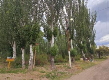 Terreno · 1741m² · Venta Lote, Esquina Inmejorable, Colonia Las Rosas