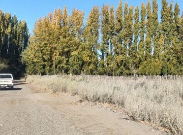 Terreno · 308m² · Terreno 307 m² Loteo Las Flores