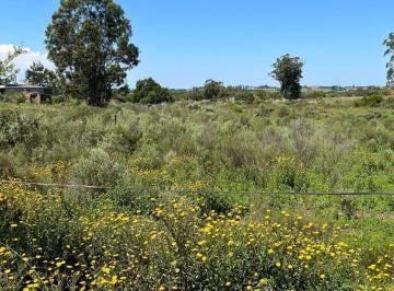 Terreno · 10000m² · Venta de Chacra Cerca de San Carlos Maldonado