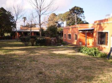 Campo · 50000ha · 4 Dormitorios · 1 - Colonia - 5 Ha San Pedro