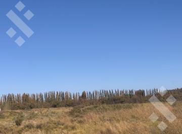 Terreno · 240000ha · Campo - Plottier