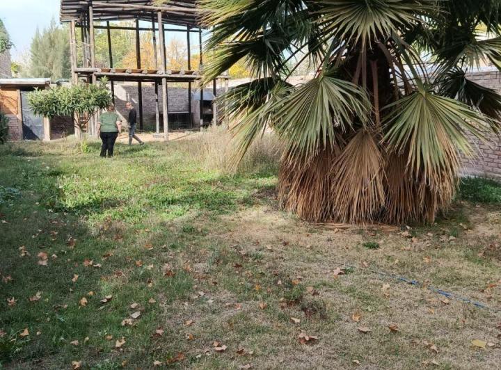 Terreno · 36m²