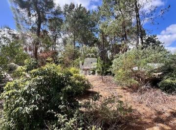 Foto1 · Terreno en Venta en Club del Lago, Punta Ballena - Ref: Pbi15702