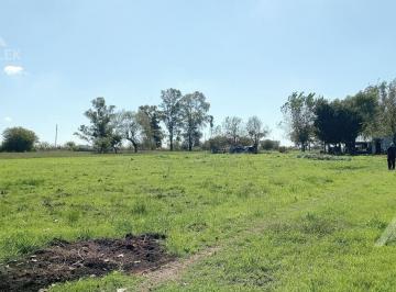 Campo · 60ha · 3 Ambientes · Campo Venta Chacra 5.5 Ha Agricola Ganadero con Casa - Marcos Paz