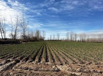 Campo · 75000m² · Openhouse Vende Fabulosa Finca en Tunuyán
