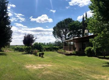 Campo · 60m² · 2 Dormitorios · Finca de 4 Ha en Venta Tunuyán