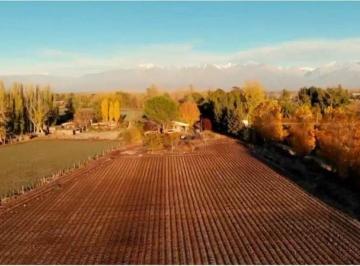 Campo · 400000m² · 2 Dormitorios · Finca de 4 Ha en Venta Tunuyán