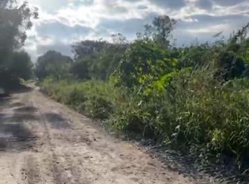 Terreno , Tafí Viejo · ¡Oportunidad de Inversión!terreno Más de 3 Hectáreas