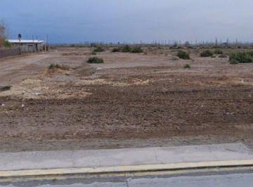 Campo · 57ha · Campo en Venta en Lavalle