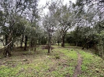 Terreno , La Caldera · Dueño Vende Terreno La Caldera