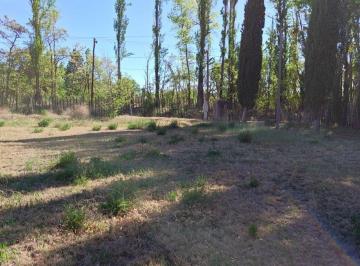 Terreno · 1000m² · Venta de Lote Roque Saenz Peña Plottier Neuquen