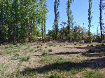 Terreno · 1001m² · Venta de Lote Roque Saenz Peña Plottier Neuquen