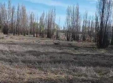Terreno · 35000m² · Terreno - Allen