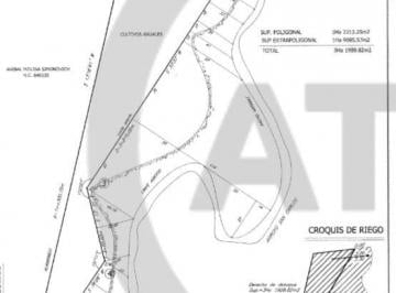 Terreno , La Consulta · Venta. Terreno. 31.900 M&sup2;.costeado. Rio. San Carlos. Mendoza. Argentina. Vende Apc Argentina