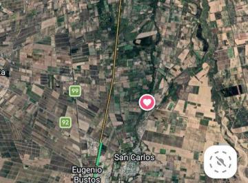 Terreno , La Consulta · Venta. Terreno. 31.900 M&sup2;.costeado. Rio. San Carlos. Mendoza. Argentina. Vende Apc Argentina
