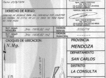 Terreno , La Consulta · Venta. Terreno. 31.900 M².costeado. Rio. San Carlos. Mendoza. Argentina. Vende Apc Argentina