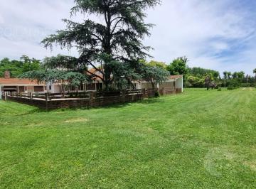 Terreno · 8317m² · 5 Ambientes · 2 Cocheras · Venta Lote 8.800 m² con Casa y Galpón Sobre Colectora Ezeiza • Vicente Casares (Cañuelas)