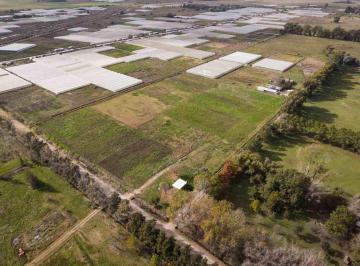 Terreno · 60000m² · Campo o Hectarea Ruta 2, Km 62