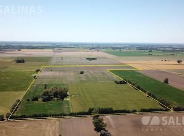 Campo · 490000ha · Campo Agrícola en Torres, Luján