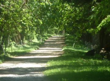 Campo · 5360000m² · Campo en Olavarria